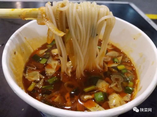 三秦美食大聯(lián)歡 陜西官府菜首展照亮杭州，西安餐飲管理引領(lǐng)風味新篇